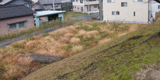 kyuhueijyuutakuamarubedanntiatoti